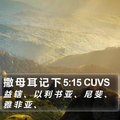 撒 母 耳 记 下 5:15 CUVS Bible Verse Image