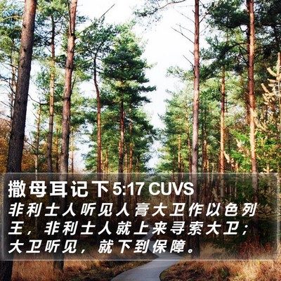 撒 母 耳 记 下 5:17 CUVS Bible Verse Image