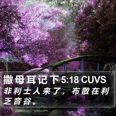 撒 母 耳 记 下 5:18 CUVS Bible Verse Image