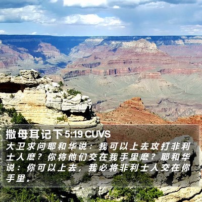 撒 母 耳 记 下 5:19 CUVS Bible Verse Image