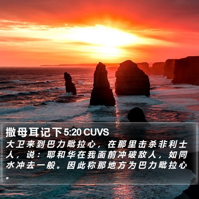 撒 母 耳 记 下 5:20 CUVS Bible Verse Image