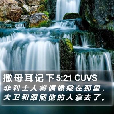 撒 母 耳 记 下 5:21 CUVS Bible Verse Image