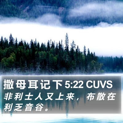 撒 母 耳 记 下 5:22 CUVS Bible Verse Image