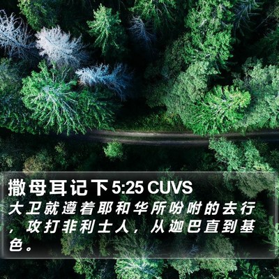 撒 母 耳 记 下 5:25 CUVS Bible Verse Image