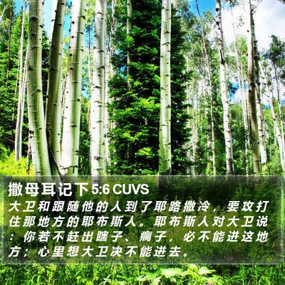 撒 母 耳 记 下 5:6 CUVS Bible Verse Image