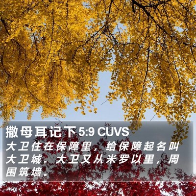 撒 母 耳 记 下 5:9 CUVS Bible Verse Image