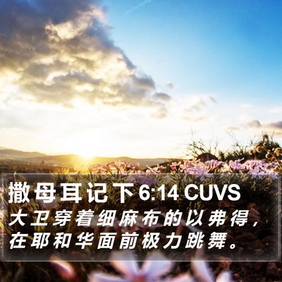 撒 母 耳 记 下 6:14 CUVS Bible Verse Image