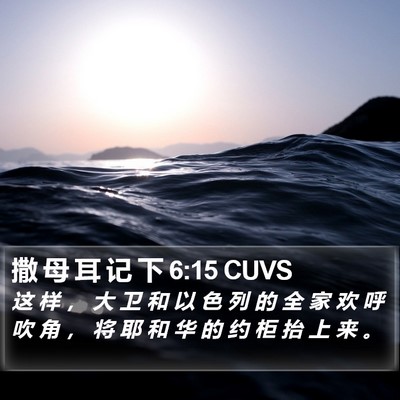 撒 母 耳 记 下 6:15 CUVS Bible Verse Image