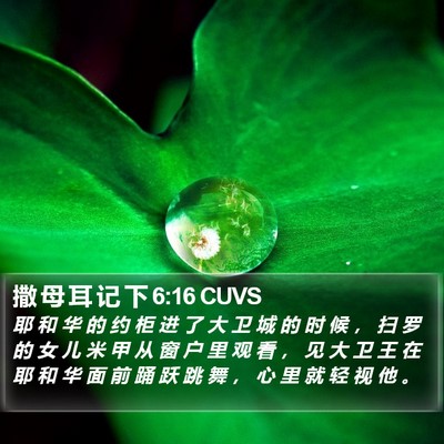 撒 母 耳 记 下 6:16 CUVS Bible Verse Image