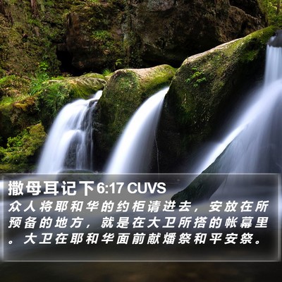 撒 母 耳 记 下 6:17 CUVS Bible Verse Image