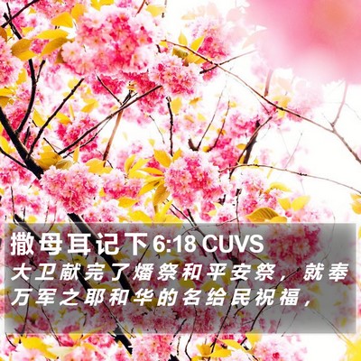 撒 母 耳 记 下 6:18 CUVS Bible Verse Image