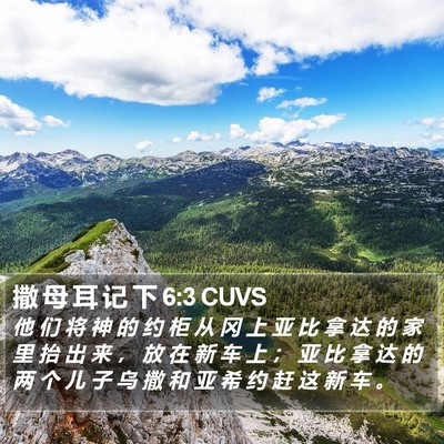 撒 母 耳 记 下 6:3 CUVS Bible Verse Image