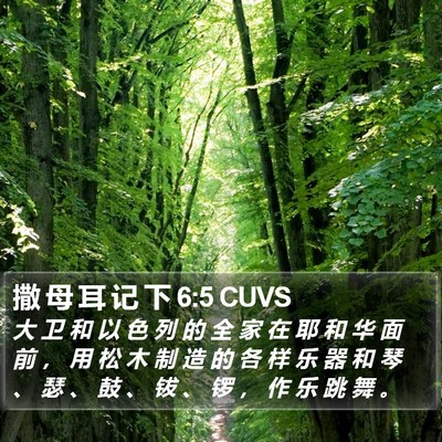 撒 母 耳 记 下 6:5 CUVS Bible Verse Image