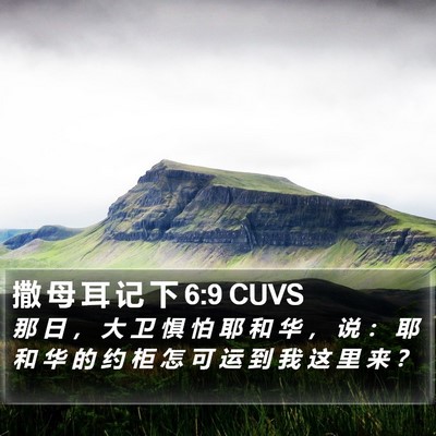 撒 母 耳 记 下 6:9 CUVS Bible Verse Image
