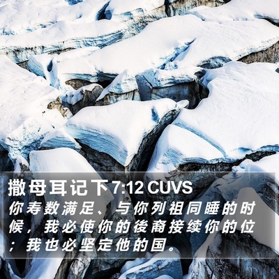 撒 母 耳 记 下 7:12 CUVS Bible Verse Image
