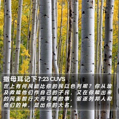 撒 母 耳 记 下 7:23 CUVS Bible Verse Image