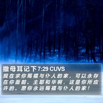 撒 母 耳 记 下 7:29 CUVS Bible Verse Image