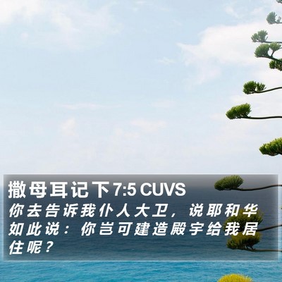 撒 母 耳 记 下 7:5 CUVS Bible Verse Image