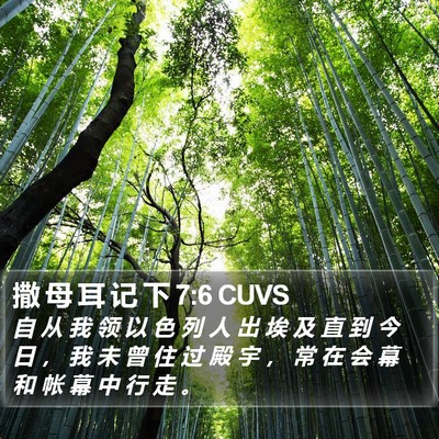 撒 母 耳 记 下 7:6 CUVS Bible Verse Image