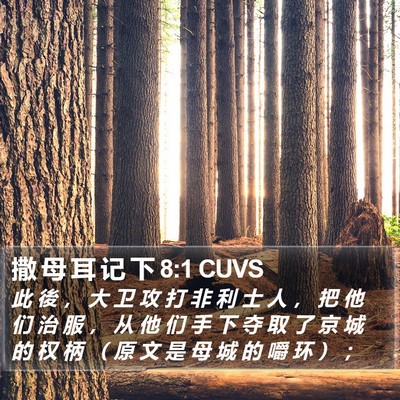 撒 母 耳 记 下 8:1 CUVS Bible Verse Image