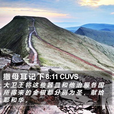 撒 母 耳 记 下 8:11 CUVS Bible Verse Image