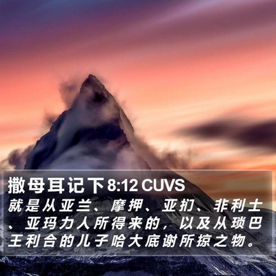 撒 母 耳 记 下 8:12 CUVS Bible Verse Image
