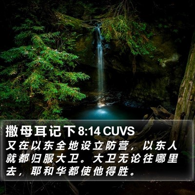撒 母 耳 记 下 8:14 CUVS Bible Verse Image