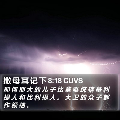 撒 母 耳 记 下 8:18 CUVS Bible Verse Image