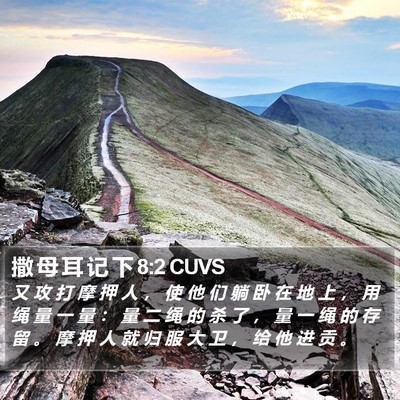 撒 母 耳 记 下 8:2 CUVS Bible Verse Image
