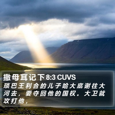 撒 母 耳 记 下 8:3 CUVS Bible Verse Image