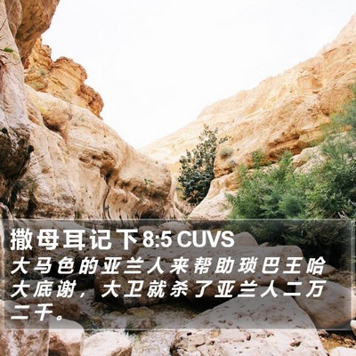 撒 母 耳 记 下 8:5 CUVS Bible Verse Image