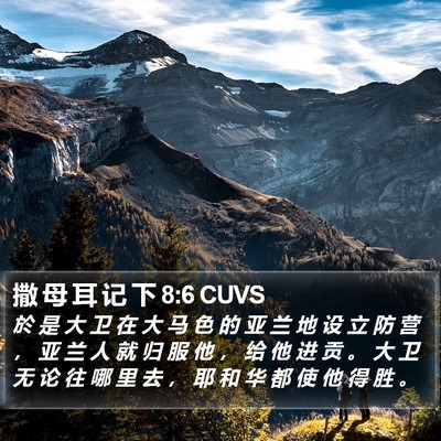 撒 母 耳 记 下 8:6 CUVS Bible Verse Image