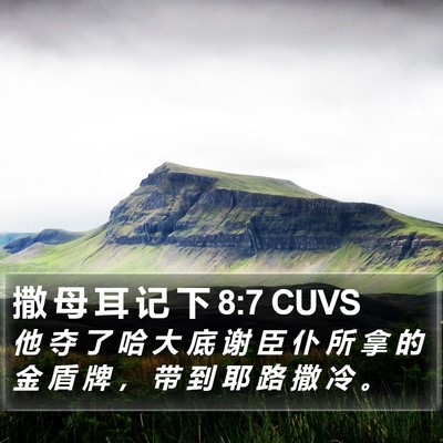 撒 母 耳 记 下 8:7 CUVS Bible Verse Image