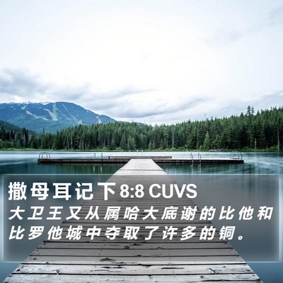 撒 母 耳 记 下 8:8 CUVS Bible Verse Image