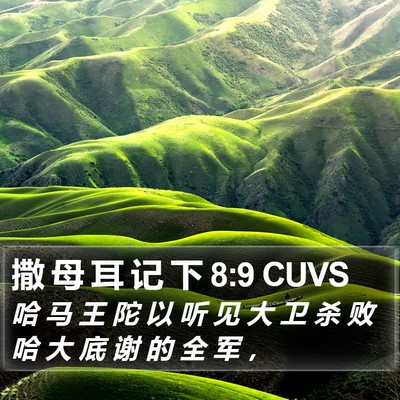 撒 母 耳 记 下 8:9 CUVS Bible Verse Image