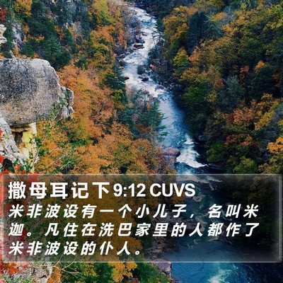 撒 母 耳 记 下 9:12 CUVS Bible Verse Image