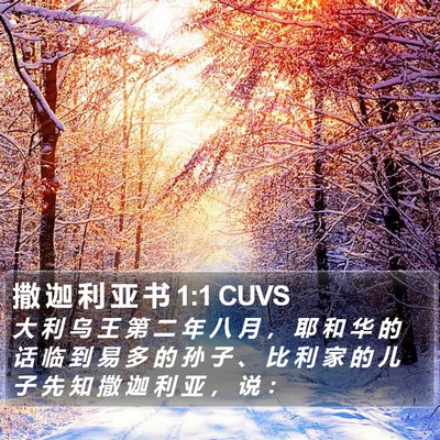 撒 迦 利 亚 书 1:1 CUVS Bible Verse Image