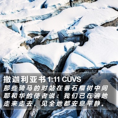 撒 迦 利 亚 书 1:11 CUVS Bible Verse Image