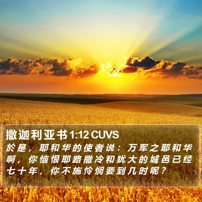 撒 迦 利 亚 书 1:12 CUVS Bible Verse Image