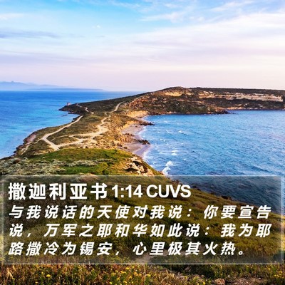 撒 迦 利 亚 书 1:14 CUVS Bible Verse Image