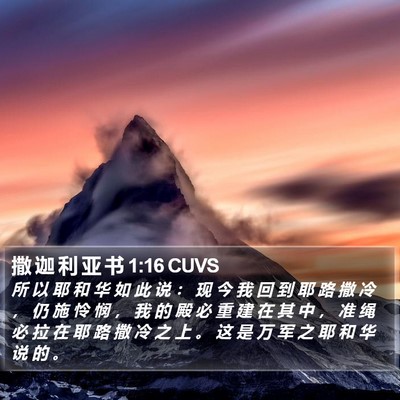 撒 迦 利 亚 书 1:16 CUVS Bible Verse Image