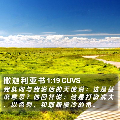撒 迦 利 亚 书 1:19 CUVS Bible Verse Image