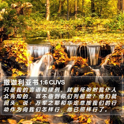 撒 迦 利 亚 书 1:6 CUVS Bible Verse Image