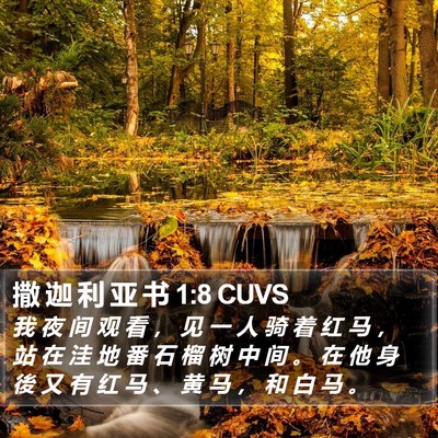 撒 迦 利 亚 书 1:8 CUVS Bible Verse Image