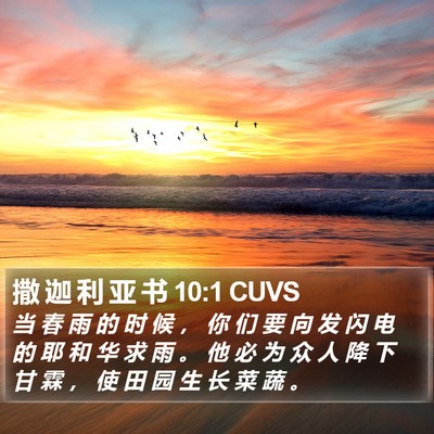 撒 迦 利 亚 书 10:1 CUVS Bible Verse Image
