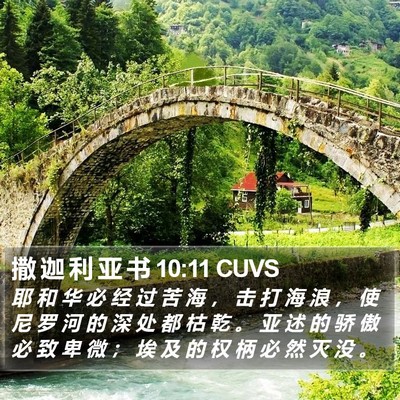 撒 迦 利 亚 书 10:11 CUVS Bible Verse Image