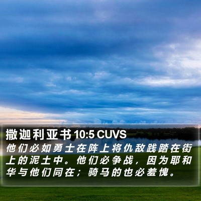撒 迦 利 亚 书 10:5 CUVS Bible Verse Image