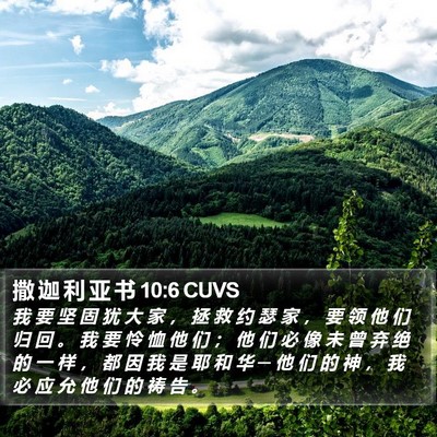撒 迦 利 亚 书 10:6 CUVS Bible Verse Image