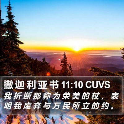 撒 迦 利 亚 书 11:10 CUVS Bible Verse Image
