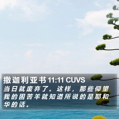 撒 迦 利 亚 书 11:11 CUVS Bible Verse Image